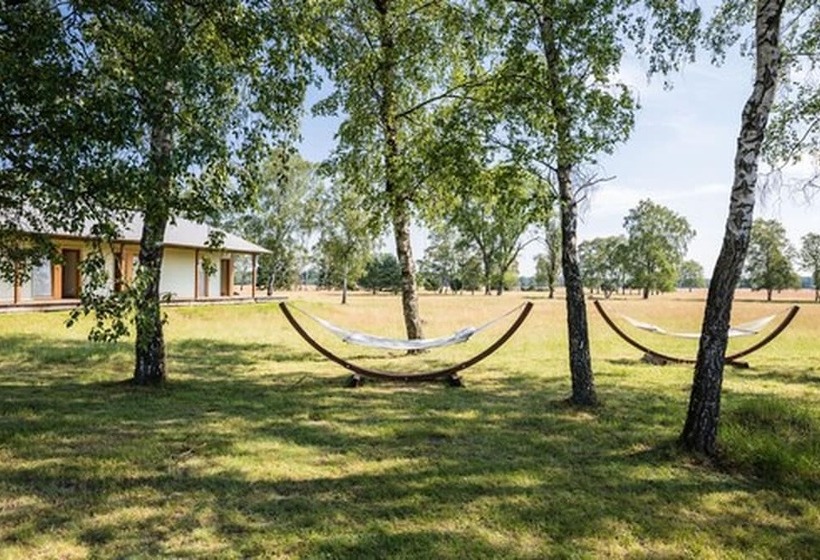Отель Camp Reinsehlen