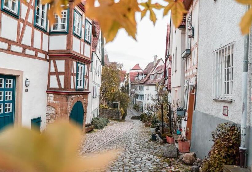 Отель Neckarblick Self Check In