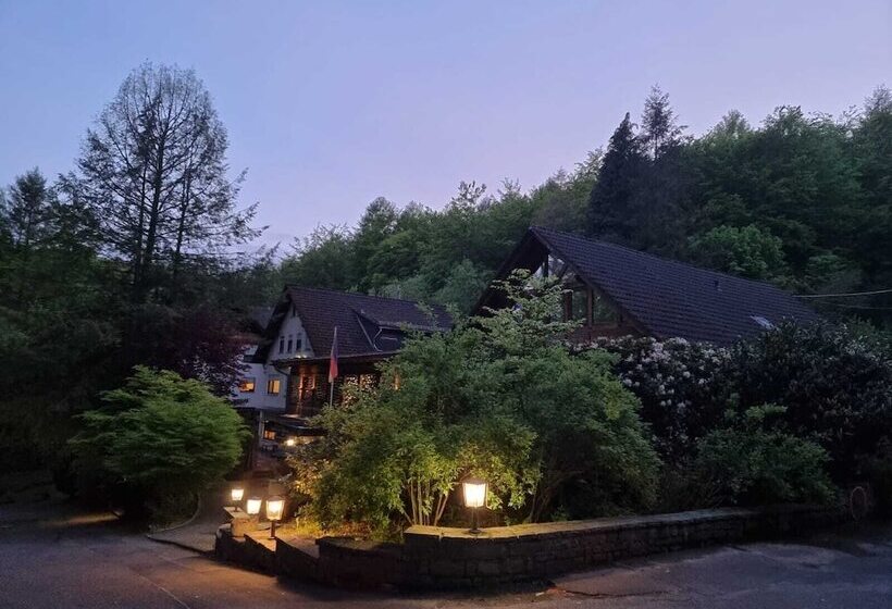 호텔 Siegerland