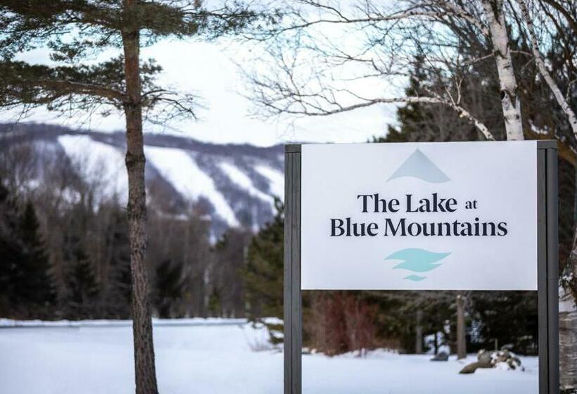 فندق على الطريق Boutique Suite #5