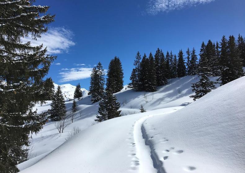 بنسيون Atelier Des Sapins Blancs