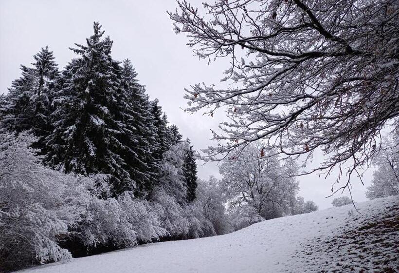 بنسيون Le Clos Du Cerf   Le Sous Bois