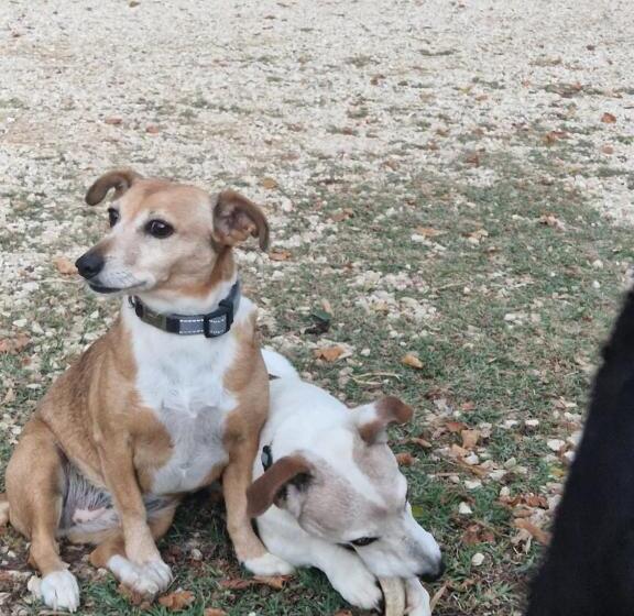 مبيت وإفطار Bastide Bellugue Maison D Hôtes Réseau Bienvenue à La Ferme à 3 Minutes De Lourmarin