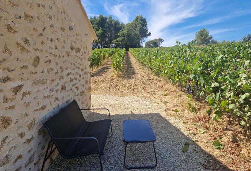 مبيت وإفطار Bastide Bellugue Maison D Hôtes Réseau Bienvenue à La Ferme à 3 Minutes De Lourmarin