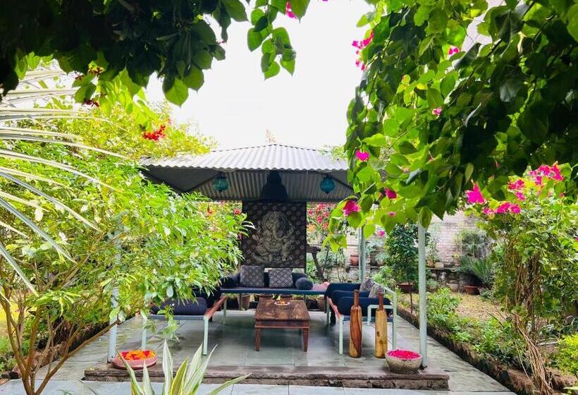 膳宿费 Mosaics Guest House