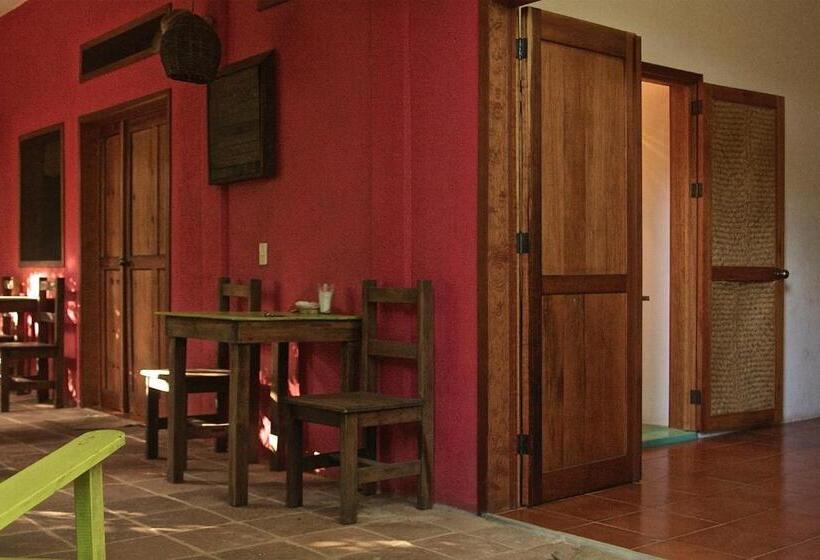 فندق صغير Posada Paloma