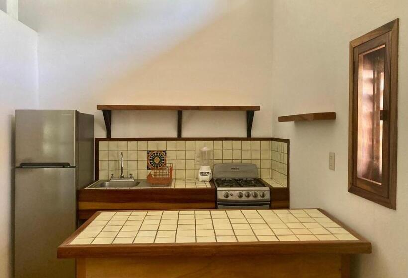 فندق صغير Posada Paloma