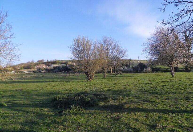 مبيت وإفطار Les Roulottes Des Songes De L Authie