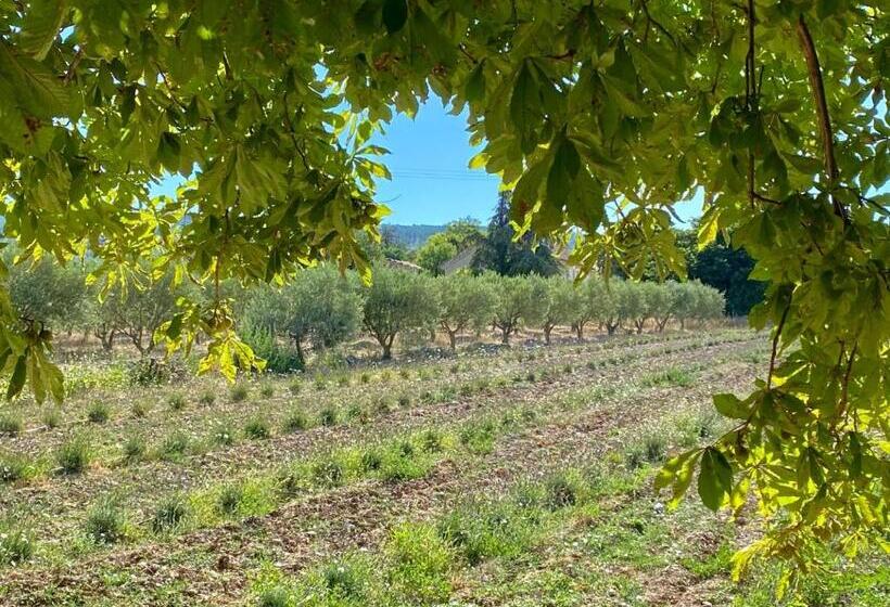 مبيت وإفطار Mas Des Olives