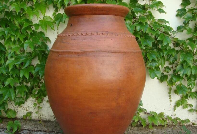 پانسیون Rio Natural