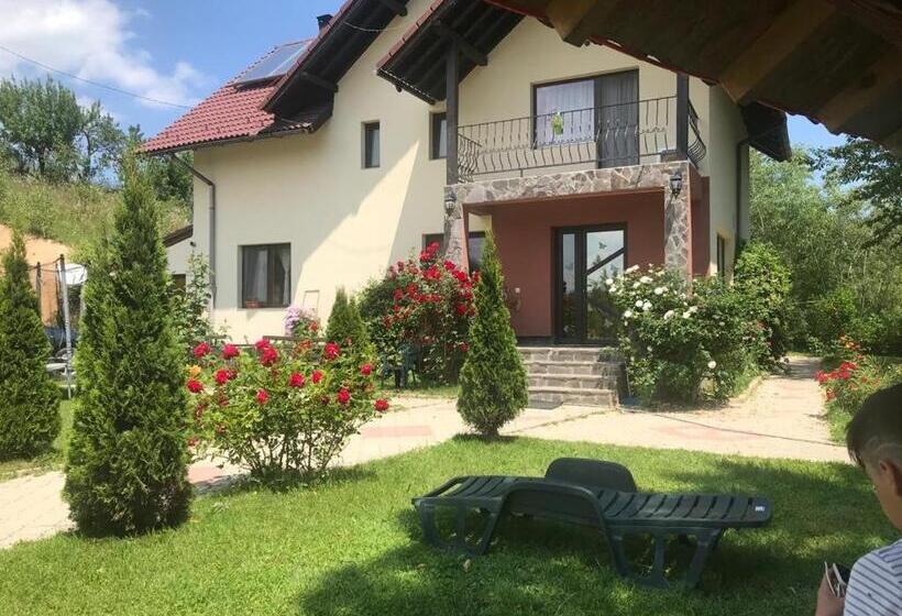 Pensiunea 7 Brazi
