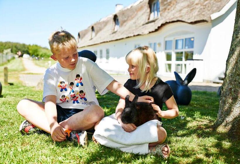 旅馆 Sankt Helene Feriecenter Tisvildeleje