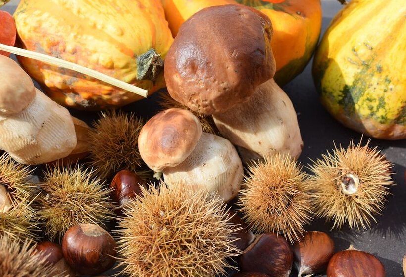 酒店 Albergo Canella