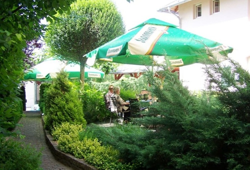 فندق Paříž