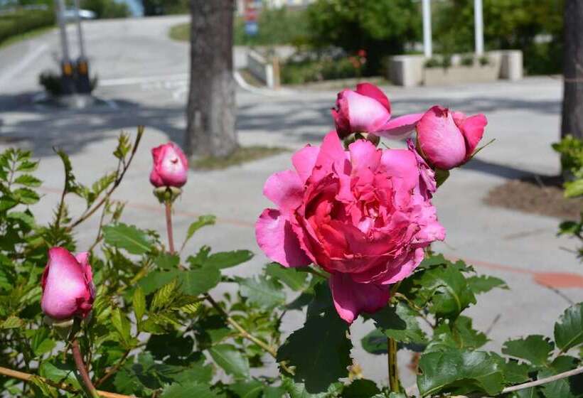 هتل Paradise Vacanze