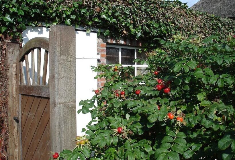 هتل Tetens Gasthof