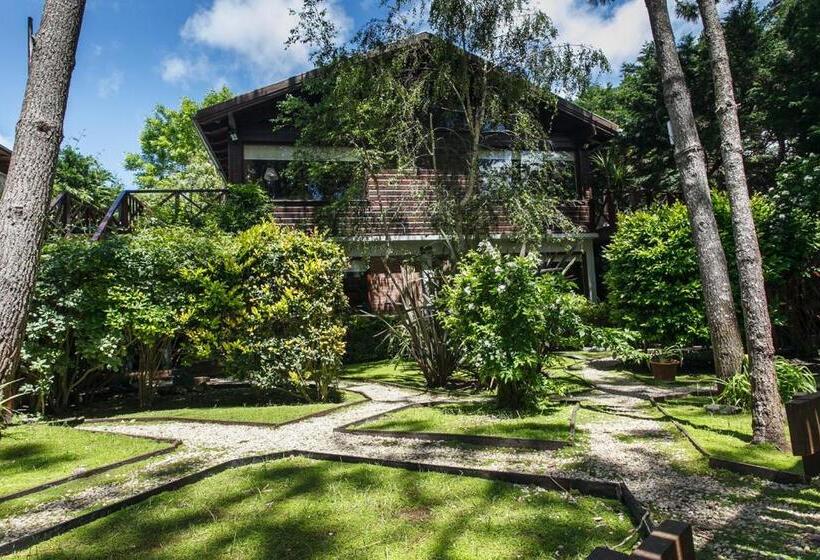 Cabañas La Mandrágora