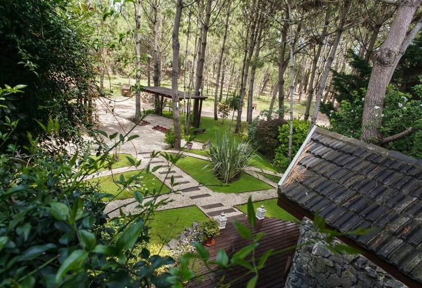 Cabañas La Mandrágora