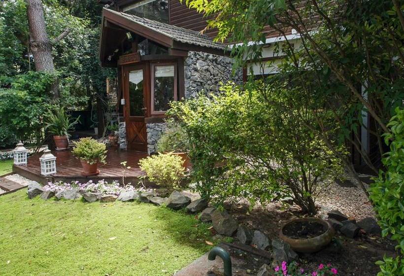 Cabañas La Mandrágora