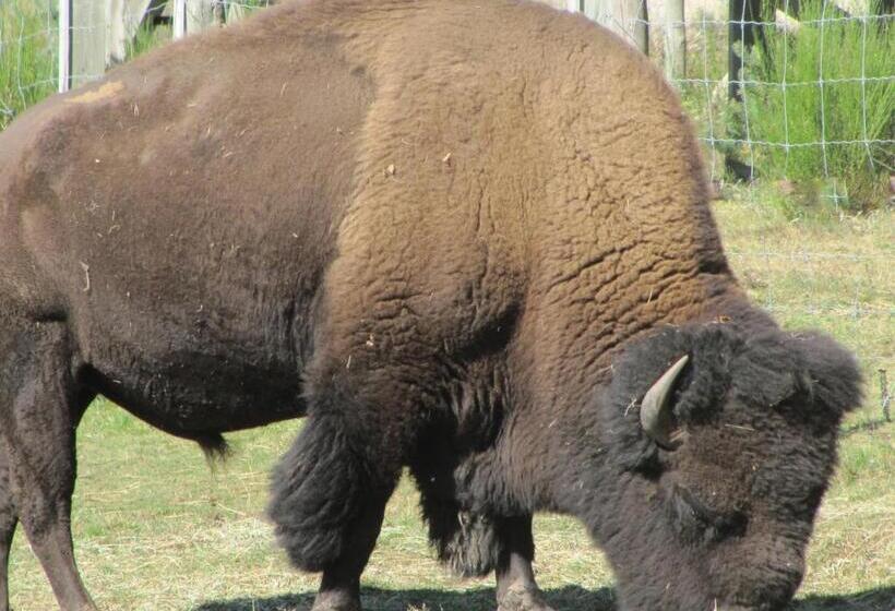 ホテル Hôtel Des Rochers