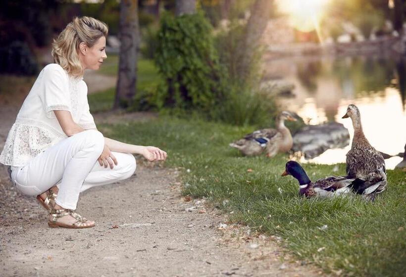 בית מלון כפרי Spa Restaurant Domaine Du Moulin