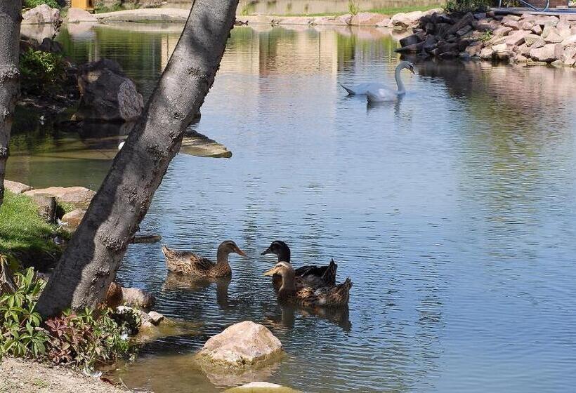 בית מלון כפרי Spa Restaurant Domaine Du Moulin