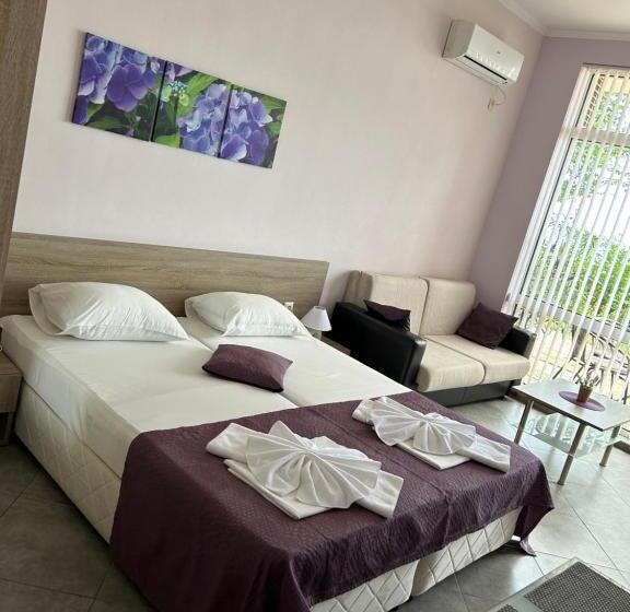 بنسيون Villa Maria 2