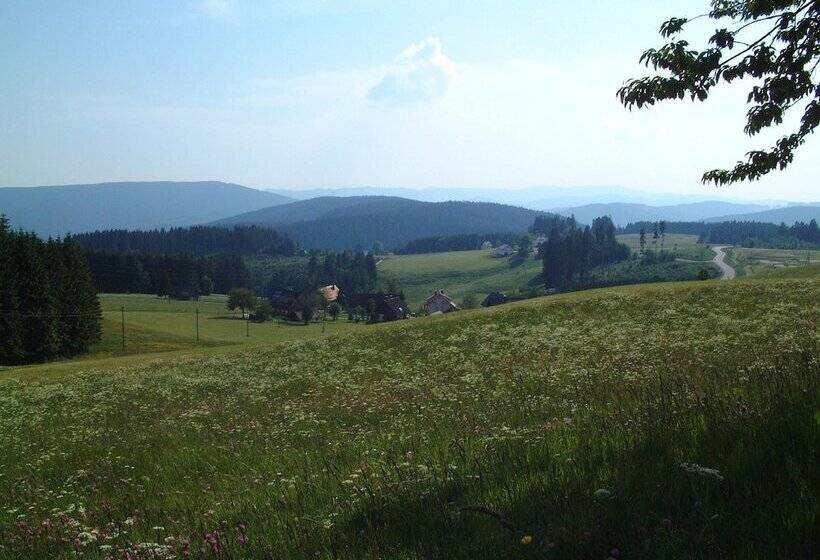 Bed and Breakfast Café Pension Feldbergblick