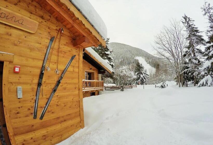 Chalet Alpina Hotel & Apartments