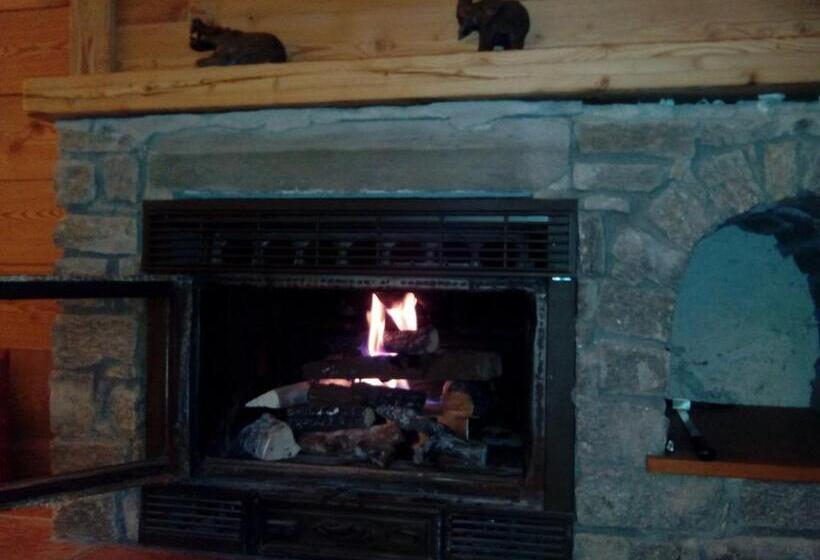 Chalet Alpina Hotel & Apartments