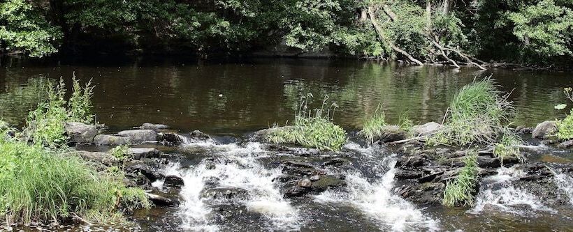 فندق Floreal La Roche En Ardenne