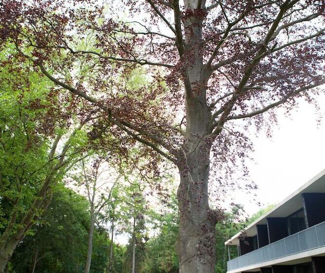 호텔 Restaurant Lunia