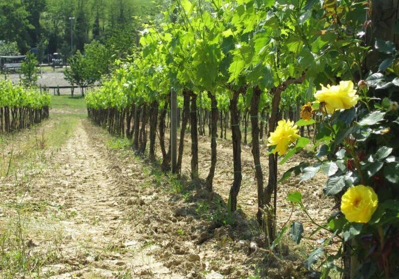 هتل Agriturismo Corte Benedetto