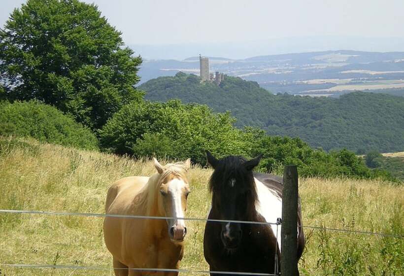 ホテル Und Landgasthof Zum Bockshahn