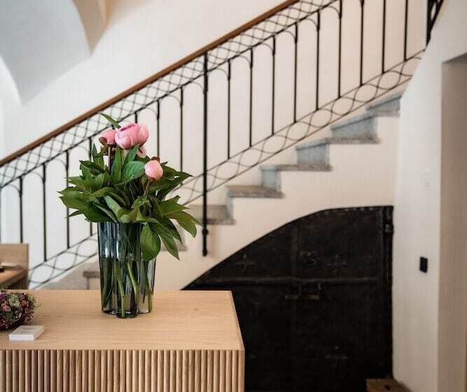 فندق Adler Historic Guesthouse