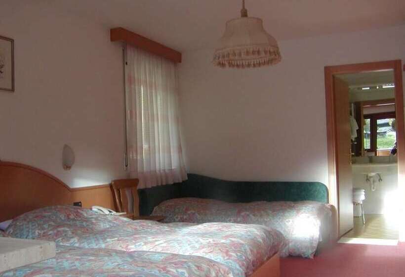 هتل Dolomites Inn