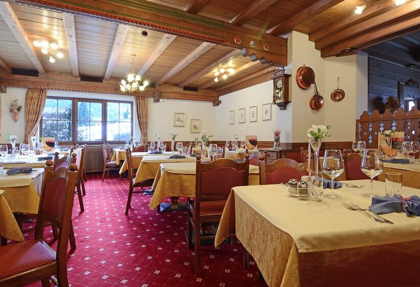 هتل Dolomites Inn