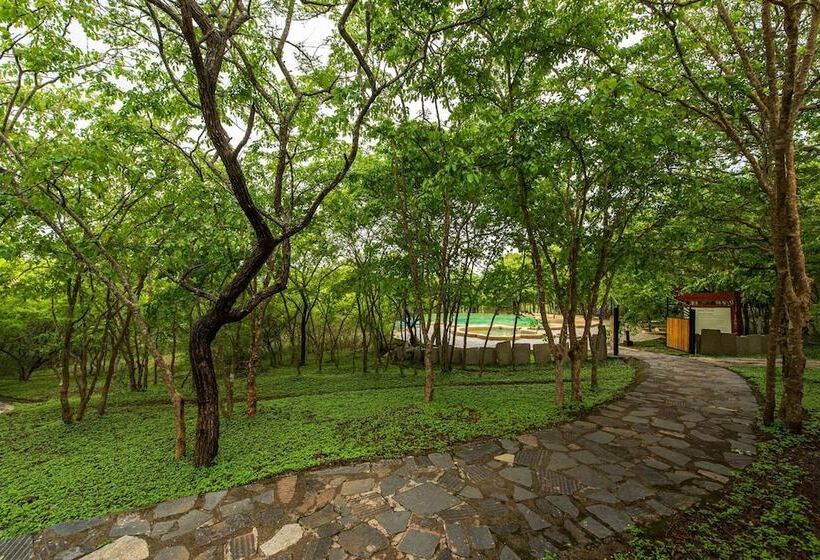 The Windflower Jungle Resorts And Spa