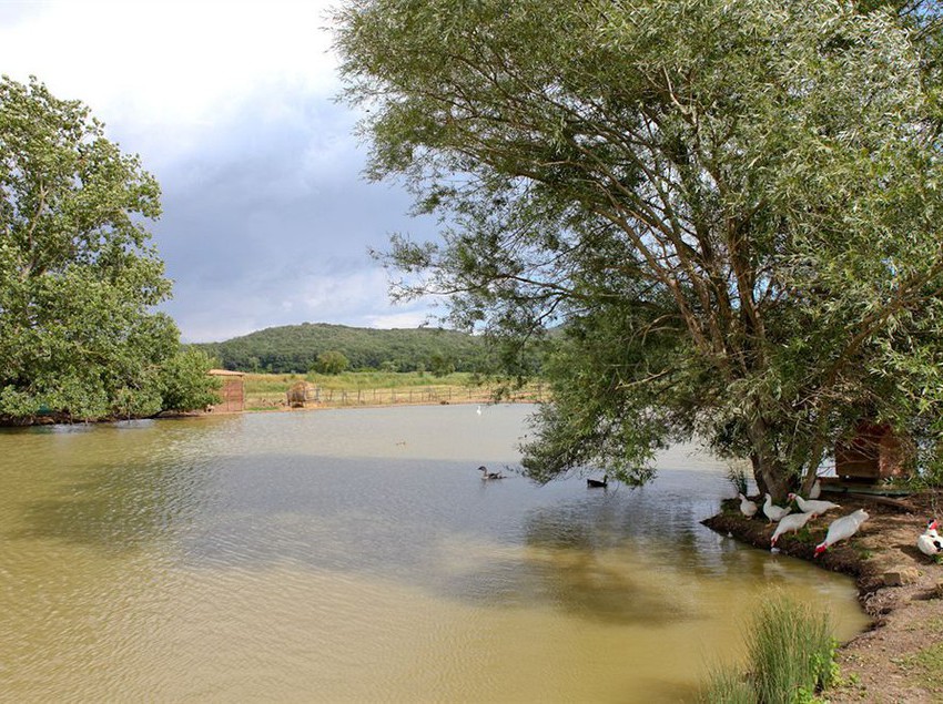 Agriturismo Da Lorena