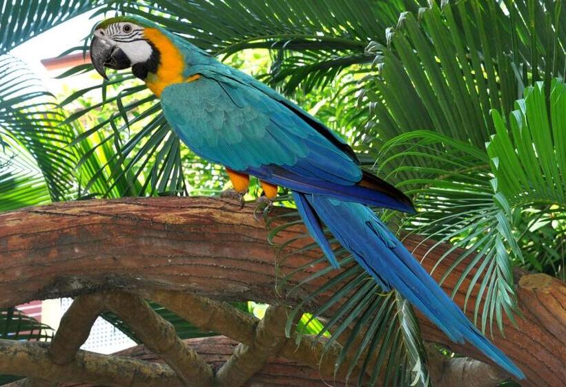 בית מלון כפרי Sai Palki Niwara