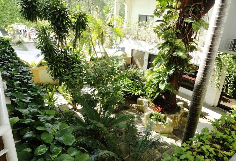 هتل Summer Holiday