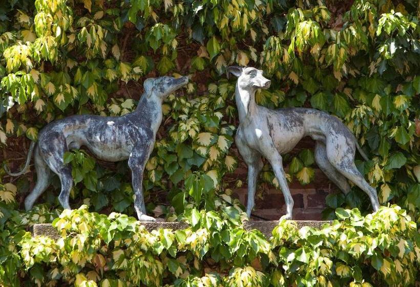 هتل The Greyhound Coaching Inn