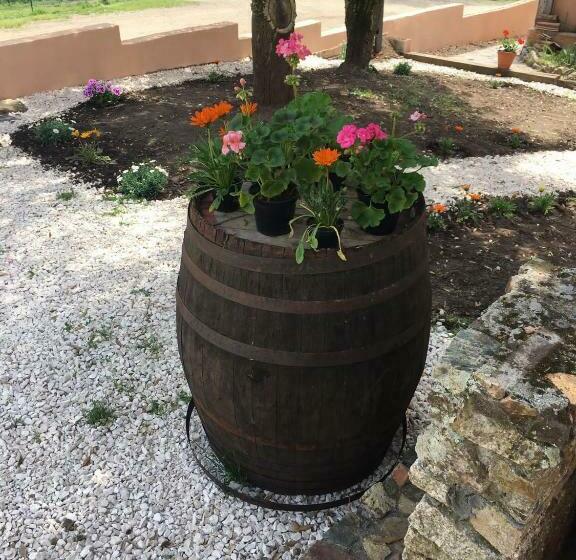 호텔 Azienda Agrituristica S Argalasi   B&b   Affittacamere Loc S Argalasi Austis