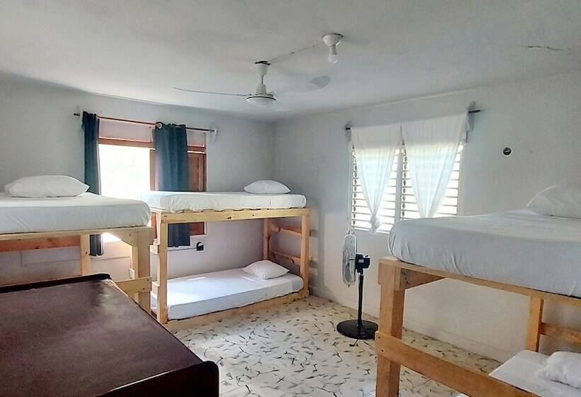 هاستل Lulú La Bruja Yoga Lodge