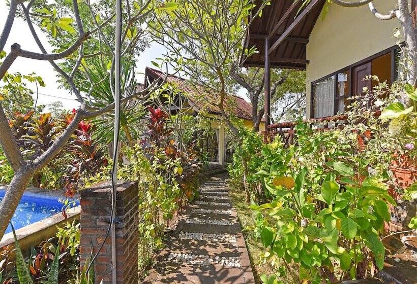 Отель Oyo 91191 Lovina Dolphin Lodge