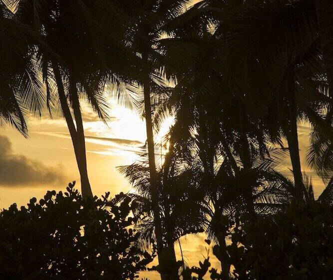 호텔 Clandestino Beach