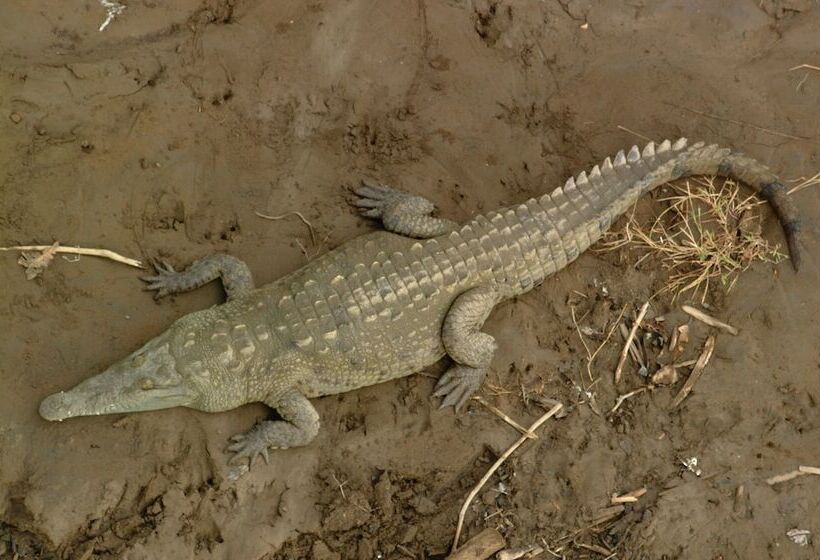 호텔 Clandestino Beach