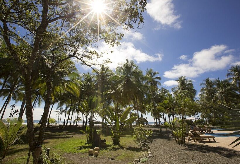 호텔 Clandestino Beach