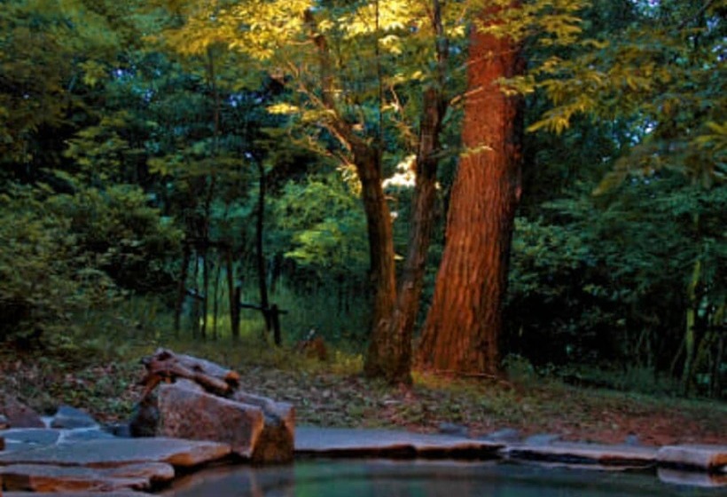 فندق Kirishima Onsen Ryokojin Sanso