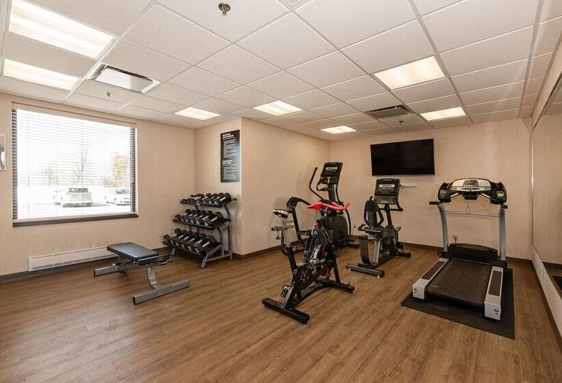 酒店 Quality Inn & Suites